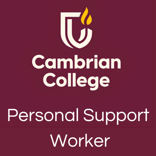 Personal Support Worker (PSW)