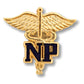 Profession Emblem Pin Emblem Pin Prestige Medical Nurse Practitioner  