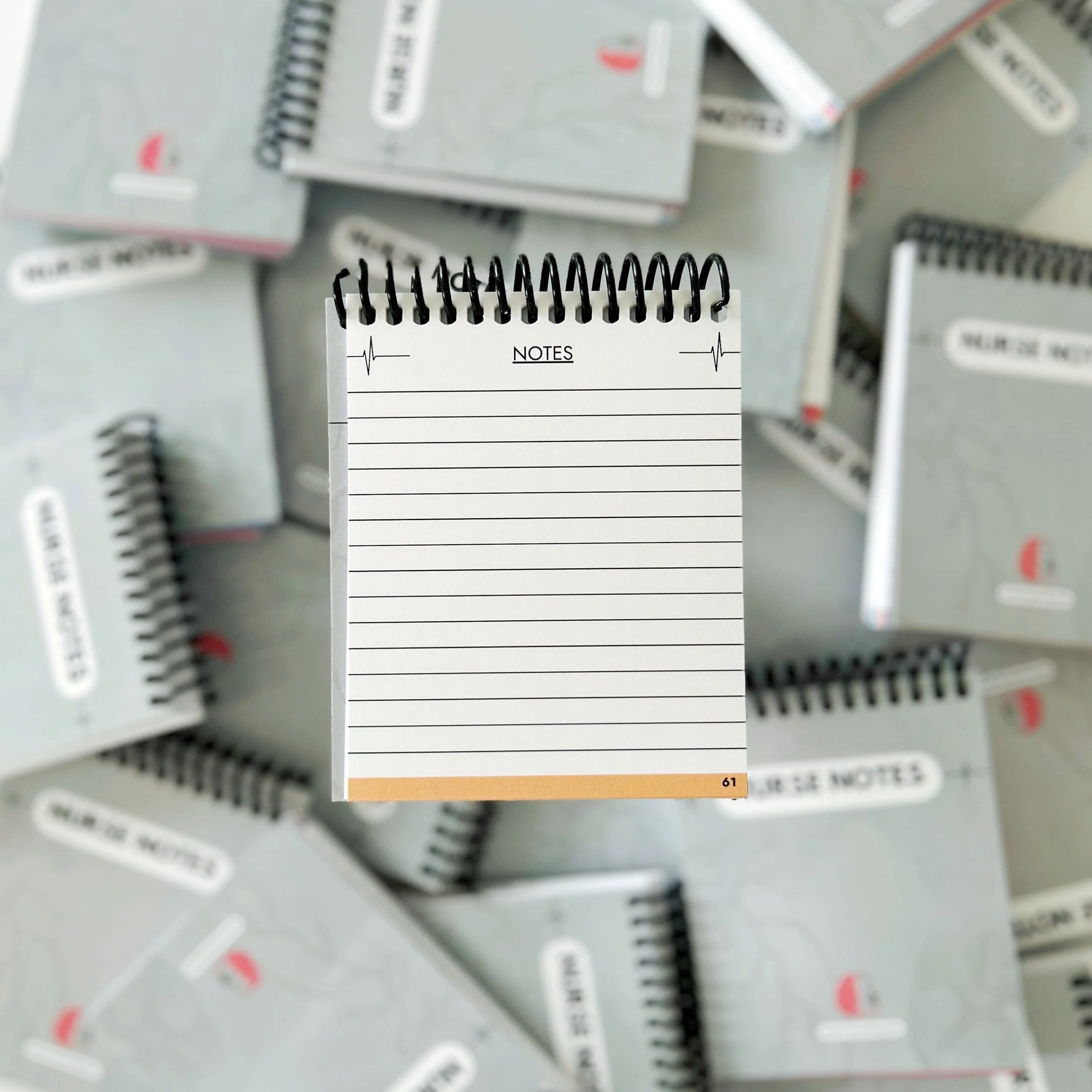 Nurse Notes Clinical Pocket Guide