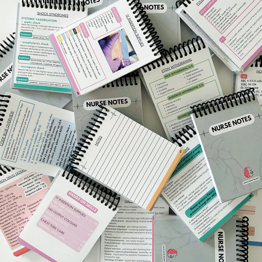 Nurse Notes Clinical Pocket Guide