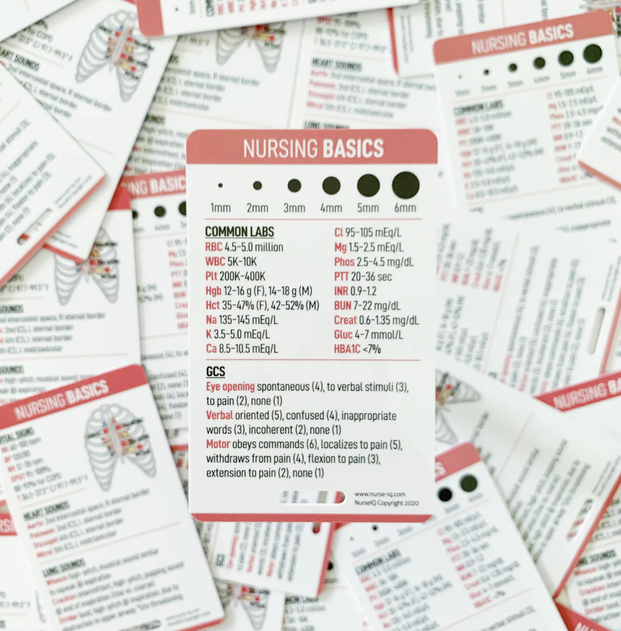 Nursing Basics Reference Badge Card