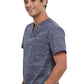 Men's Scrub Top In Rawr-Some Men's Printed Top Cherokee Prints   